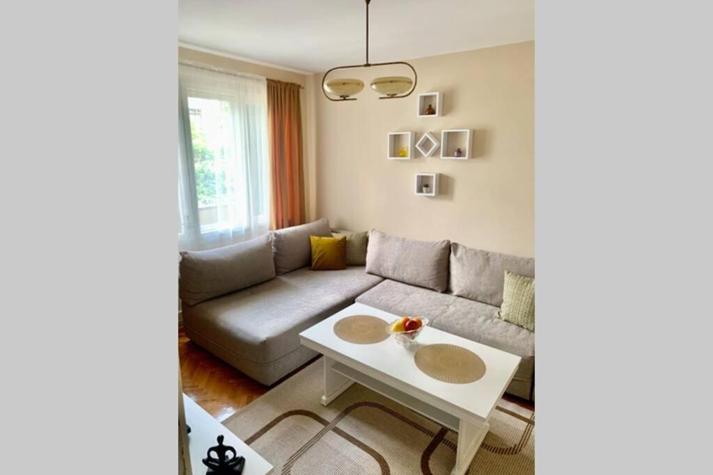 Cute, Spacious Apt In The Heart Of The Old Town ポドゴリツァ エクステリア 写真