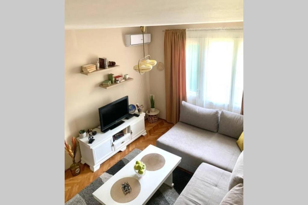 Cute, Spacious Apt In The Heart Of The Old Town ポドゴリツァ エクステリア 写真