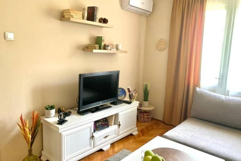 Cute, Spacious Apt In The Heart Of The Old Town ポドゴリツァ エクステリア 写真