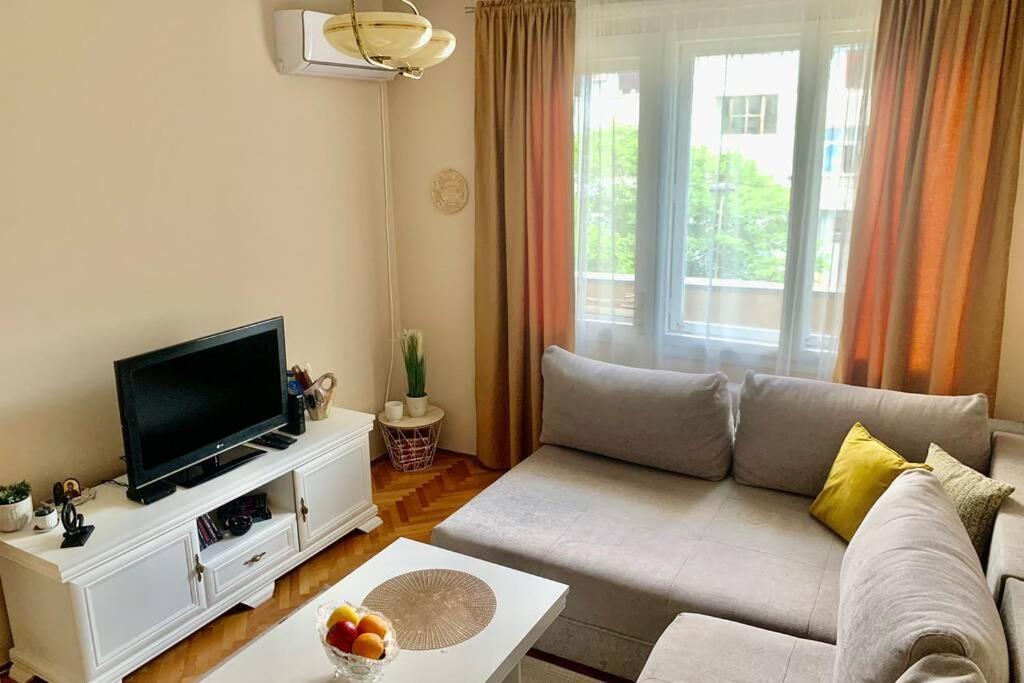 Cute, Spacious Apt In The Heart Of The Old Town ポドゴリツァ エクステリア 写真